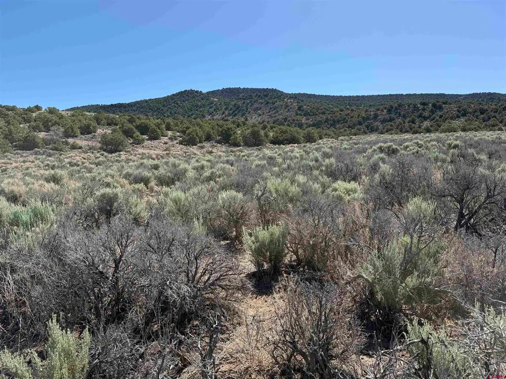 TBD Sh Hwy 159, Garcia, CO 81152 - #1