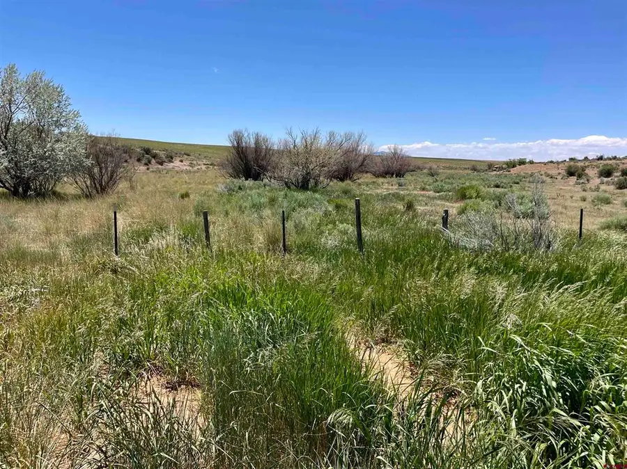 Lot 1 TBD Road Aa, Lewis, CO 81327 - #3