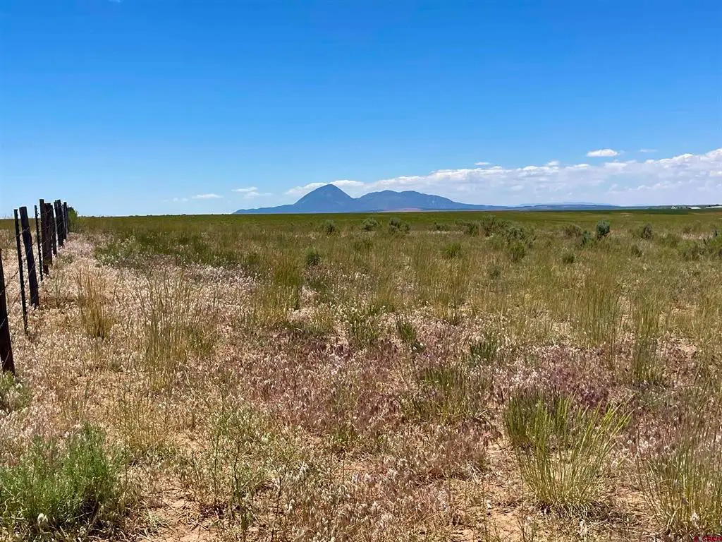Lot 3 TBD Road 20, Lewis, CO 81327 - #1