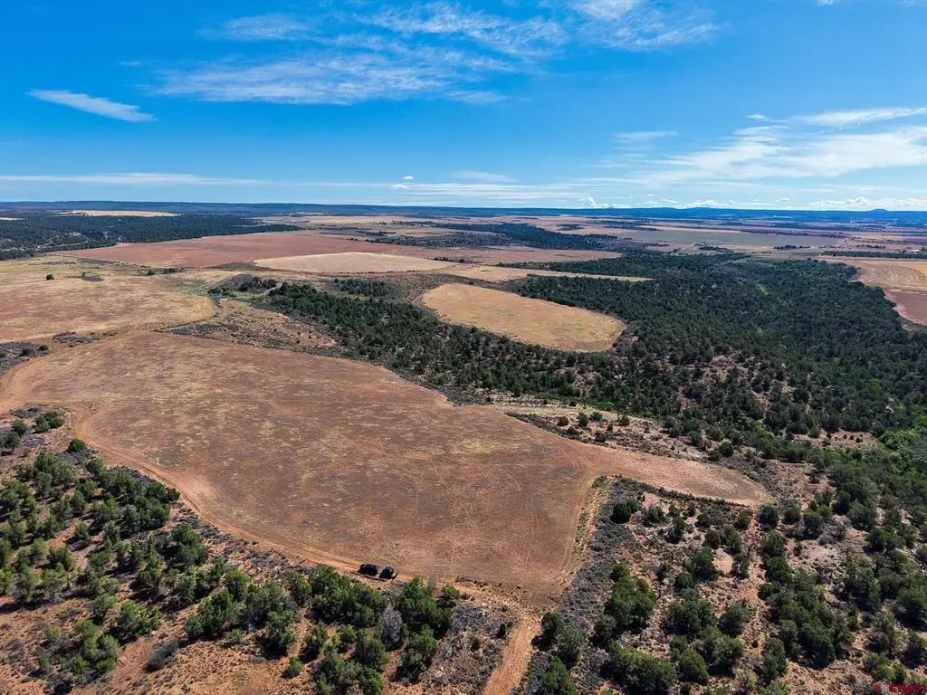 11068 Hwy 491, Dove Creek, CO 81324 - #1