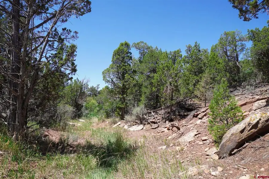 11068 Hwy 491, Dove Creek, CO 81324 - #3