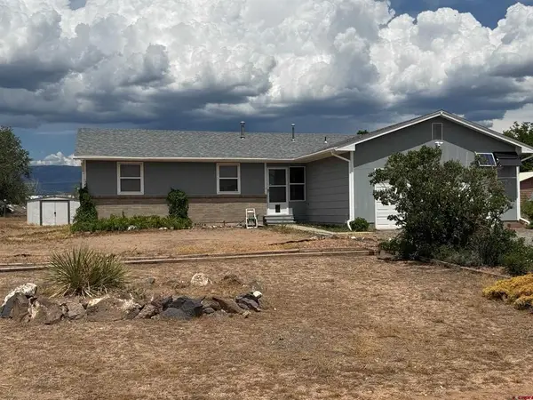 21195 Mountain Village Drive, Eckert, CO 81418