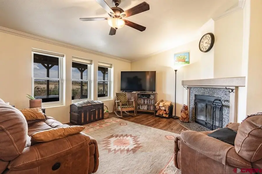 9880 County Road 100, Hesperus, CO 81326 - #3