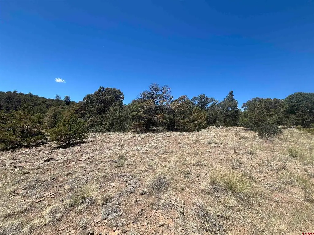 503 Kenosha Road, South Fork, CO 81154 - #1