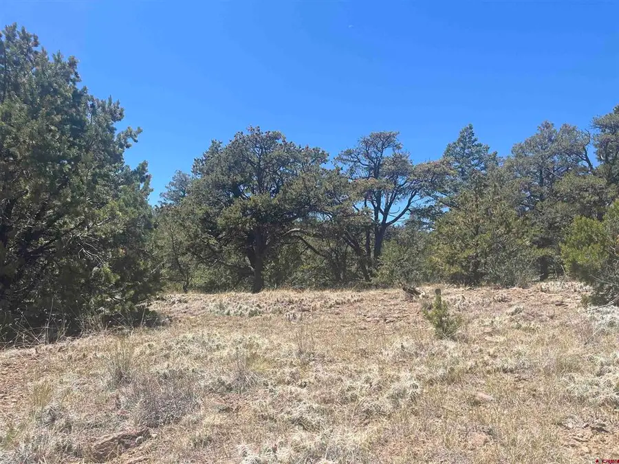 503 Kenosha Road, South Fork, CO 81154 - #3