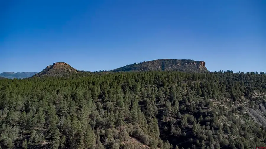 20320 Highway 160, Durango, CO 81301 - #2