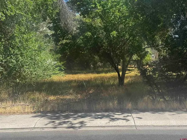 850 W Main Street, Cedaredge, CO 81413