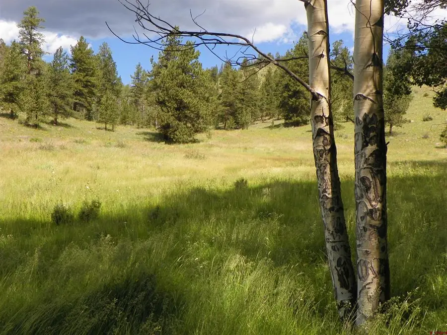 none 33h, Saguache, CO 81149 - #2