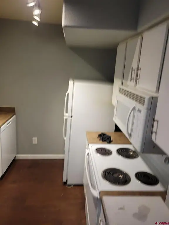 1100 Geoglein Gulch Road #257, Durango, CO 81301 - #3