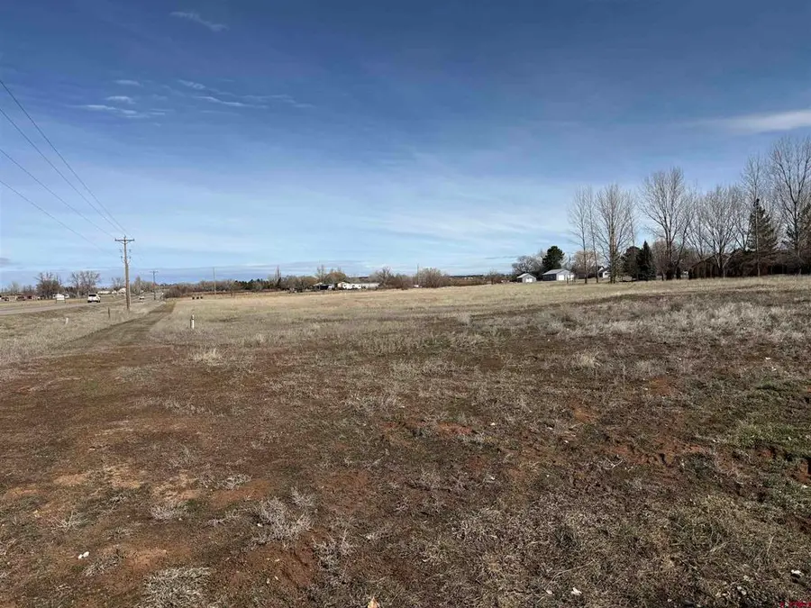 Tbd Road, Dolores, CO 81323 - #2