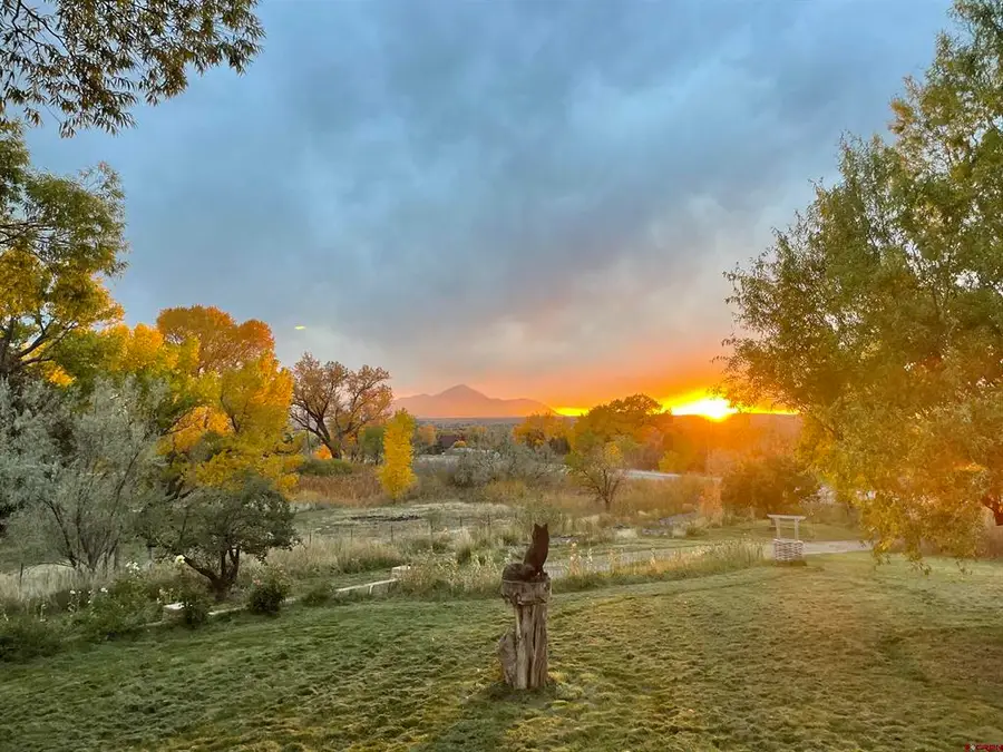 14156 Hwy 145, Dolores, CO 81323 - #2