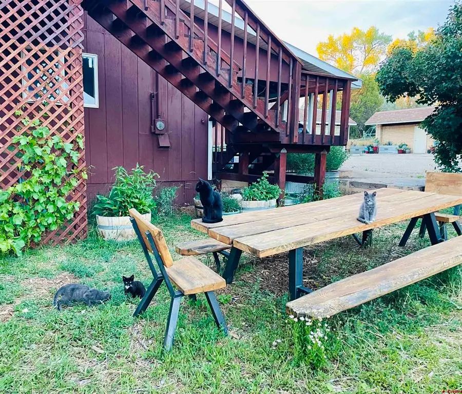 14156 Hwy 145, Dolores, CO 81323 - #3
