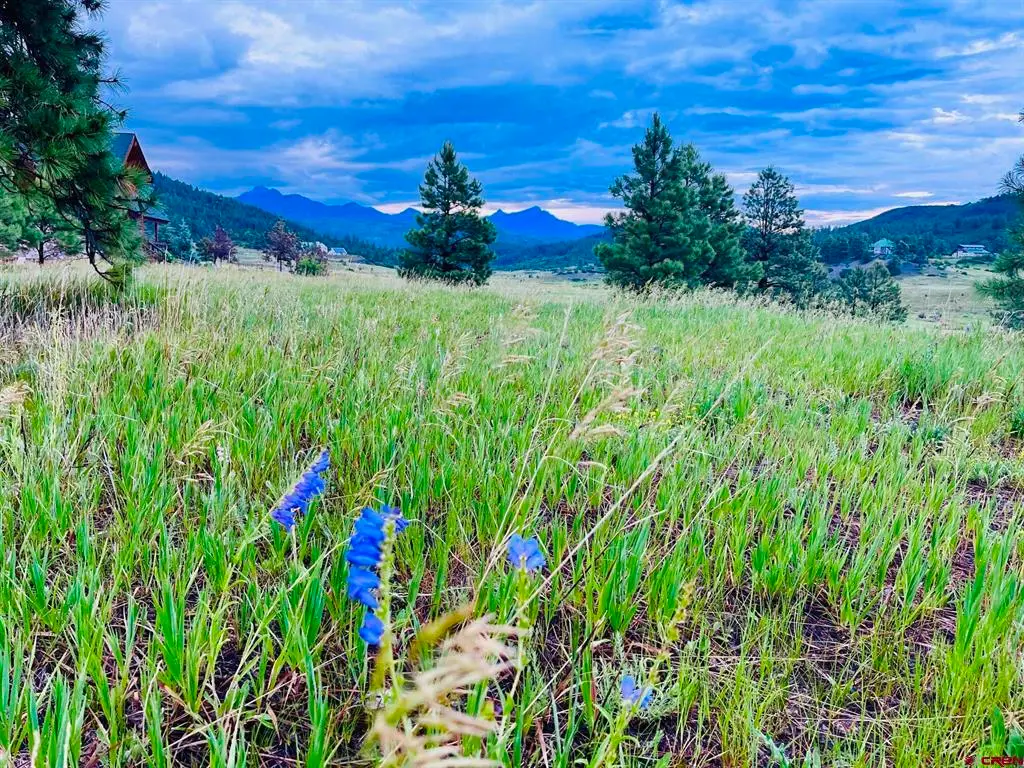 119 La Ventana Pl, Pagosa Springs, CO 81147 - #1