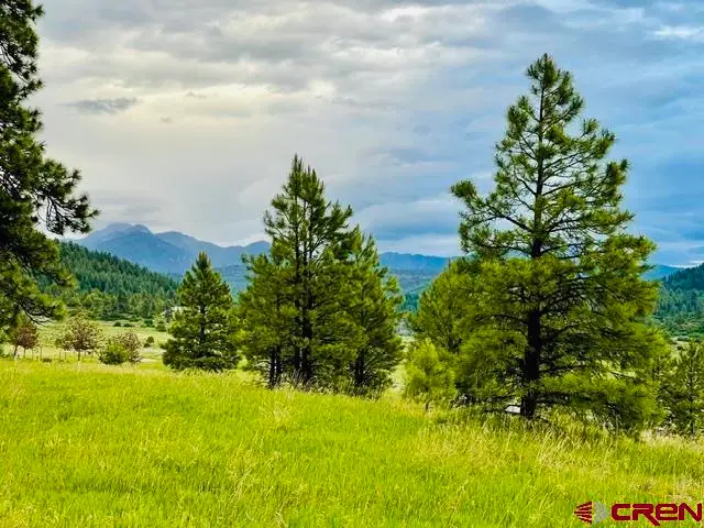 119 La Ventana Pl, Pagosa Springs, CO 81147 - #3