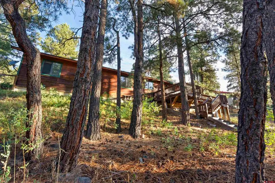 91 Gala Place, Pagosa Springs, CO 81147 - #3