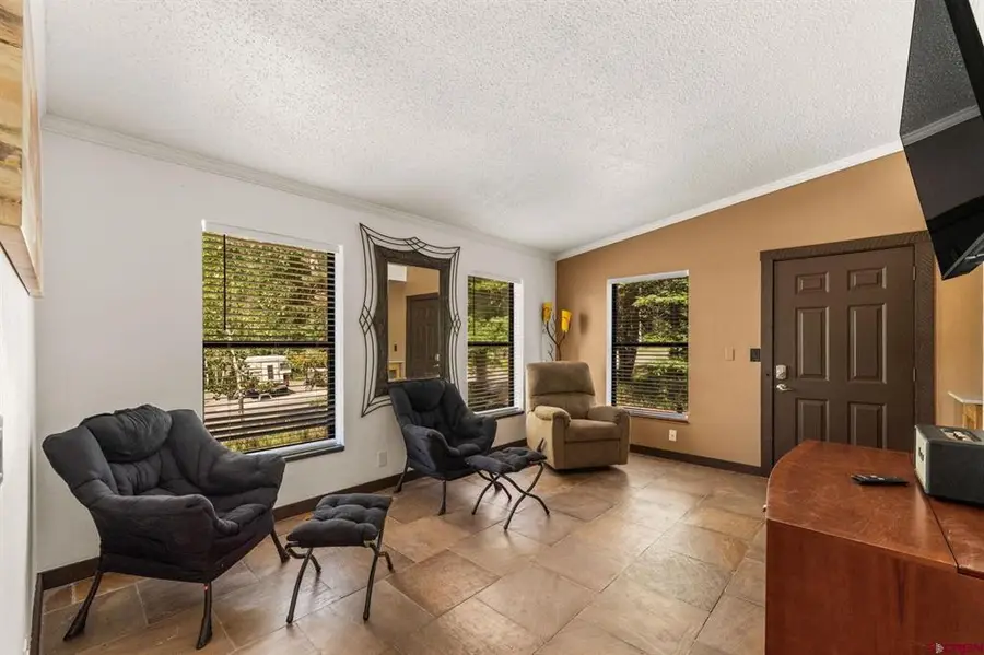 501 Society Drive, Telluride, CO 81435 - #3