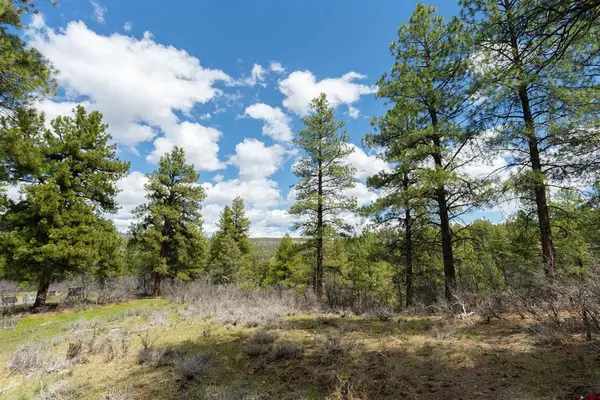 422 Oakridge Drive, Pagosa Springs, CO 81147