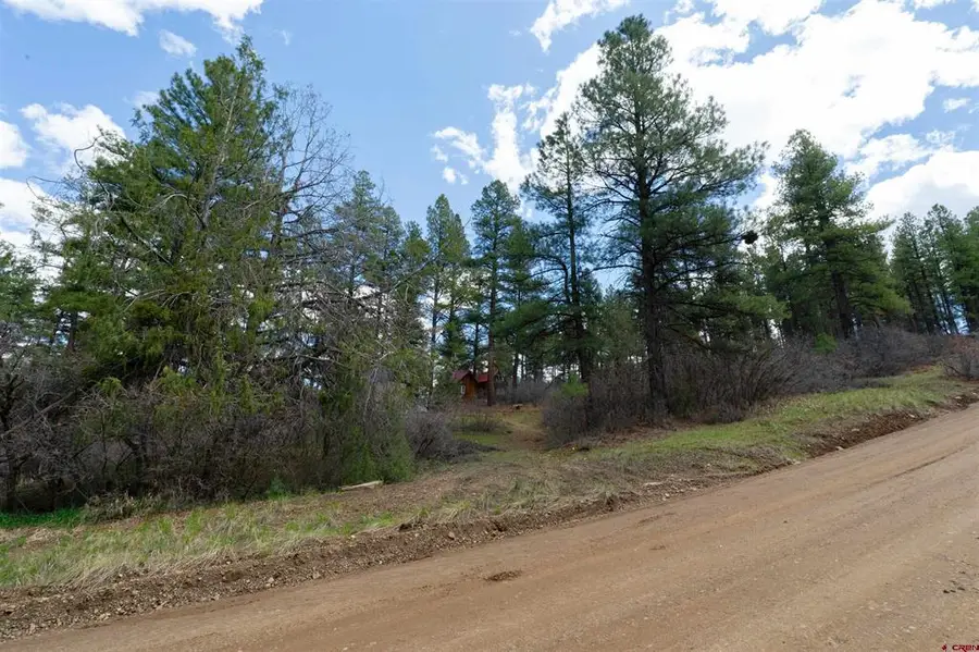 422 Oakridge Drive, Pagosa Springs, CO 81147 - #2