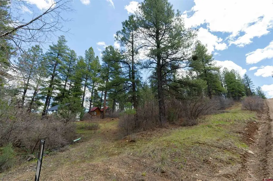 422 Oakridge Drive, Pagosa Springs, CO 81147 - #3