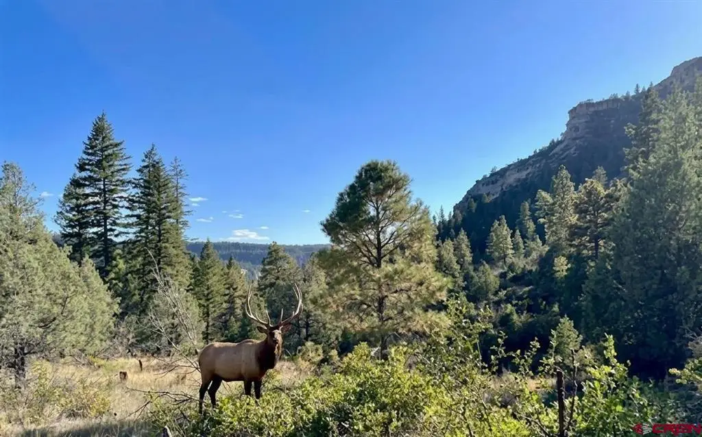 16400 County Road 500, Pagosa Springs, CO 81147 - #1
