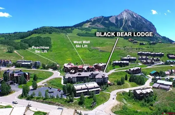 9 Hunter Hill Road #207, Mt. Crested Butte, CO 81225