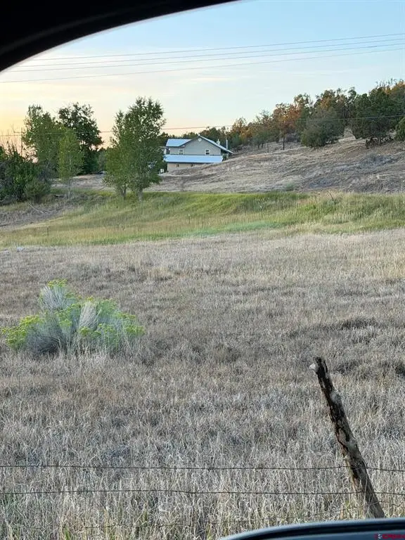 9473 Rd 42, Mancos, CO 81328 - #3