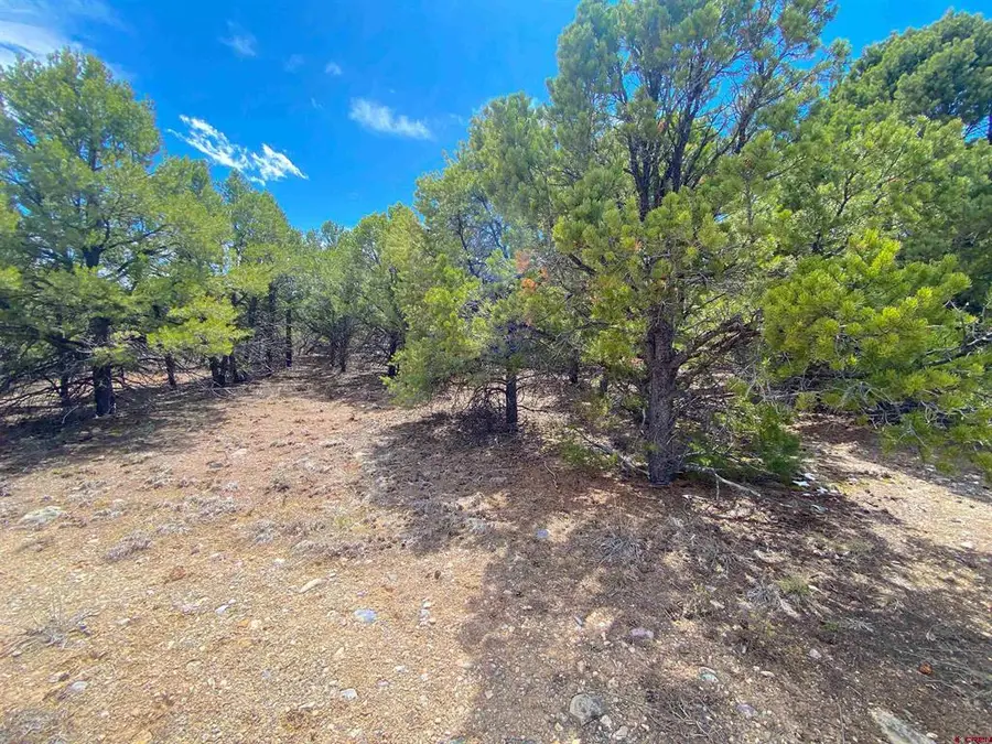 TBD  (Lot 37) Pine Drive, Ridgway, CO 81432 - #3