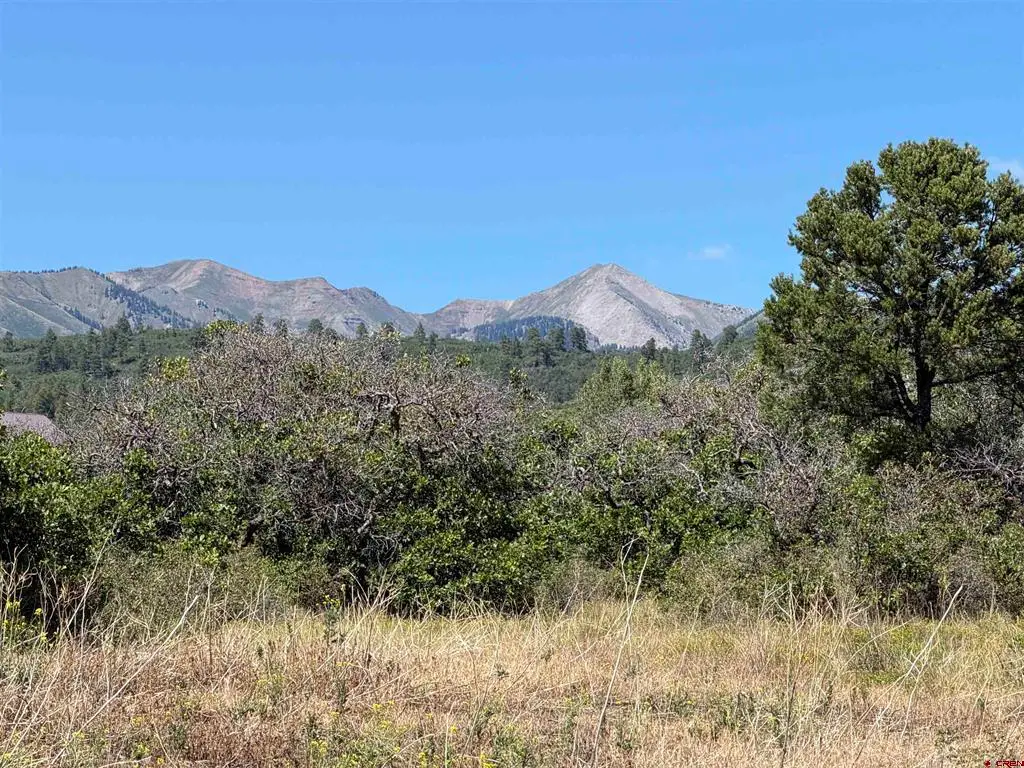 TBD Roberts Ridge Road, Hesperus, CO 81326 - #1