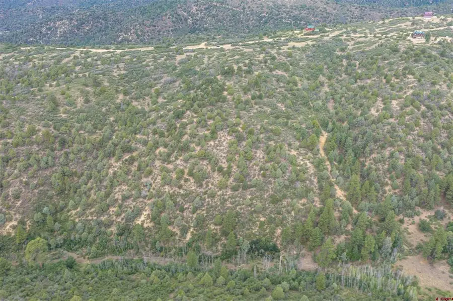 TBD Roberts Ridge Road, Hesperus, CO 81326 - #2