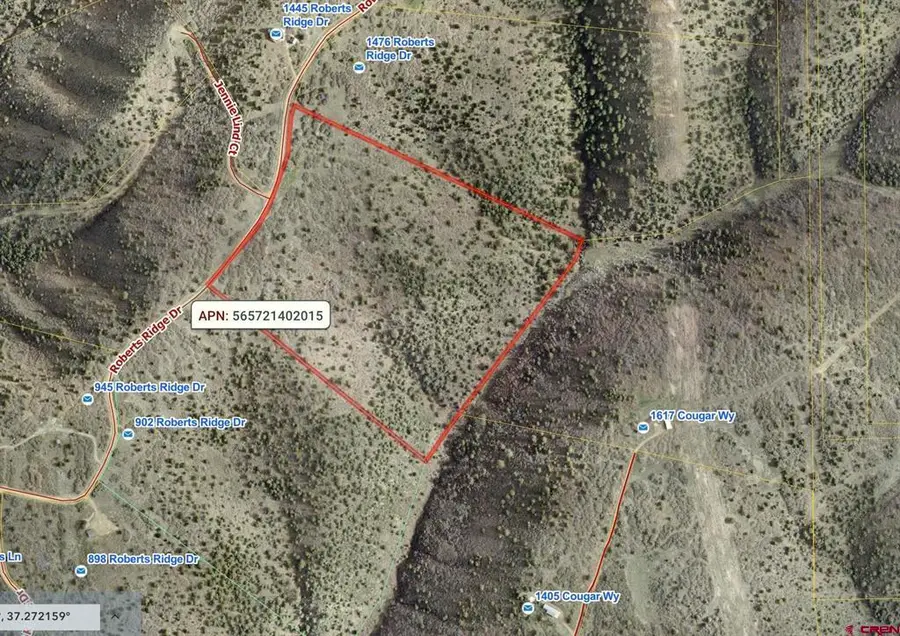 TBD Roberts Ridge Road, Hesperus, CO 81326 - #3