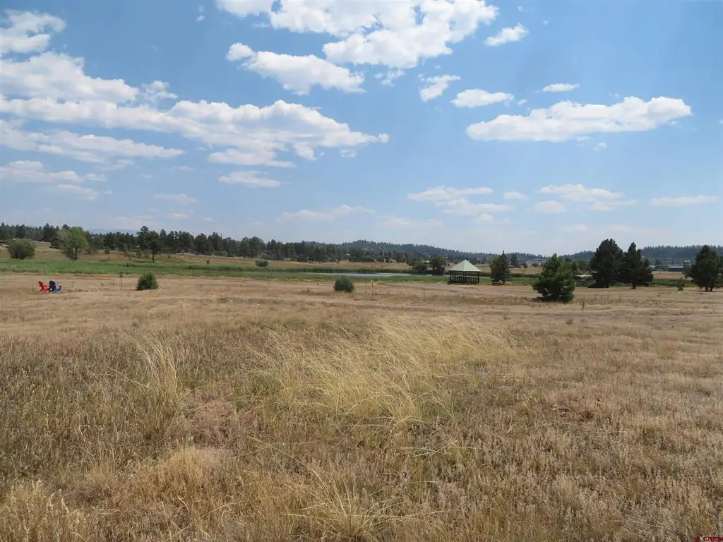 176 Port Ave, Pagosa Springs, CO 81147 - #1