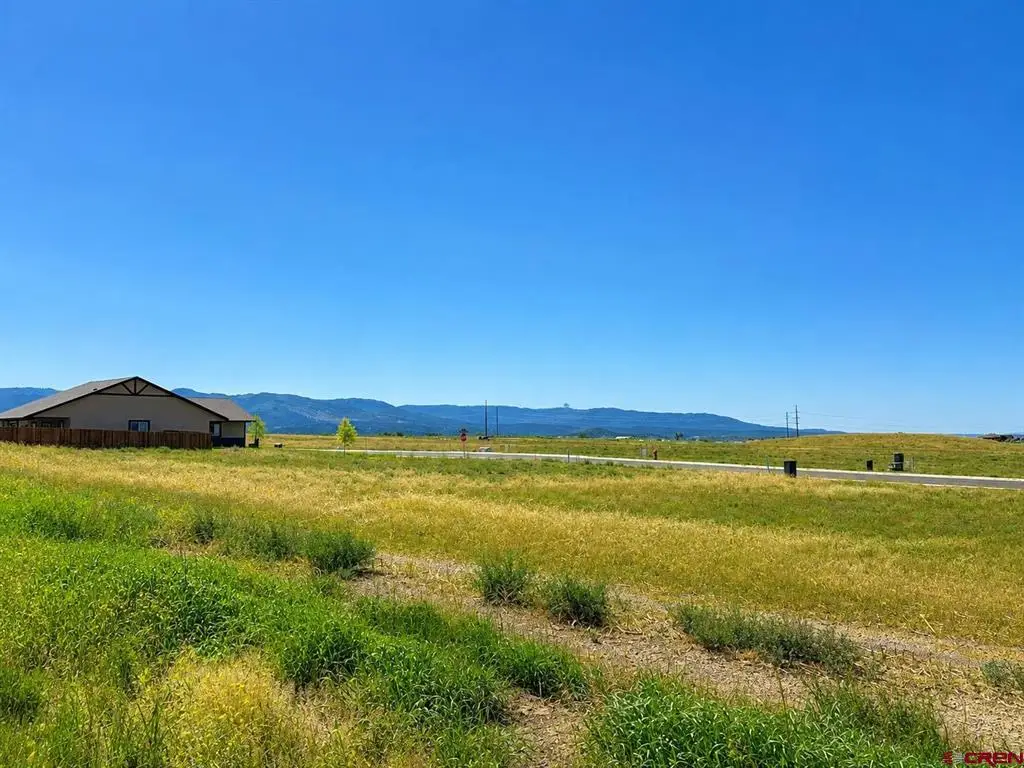 115 Wild Horse Drive, Bayfield, CO 81122 - #1