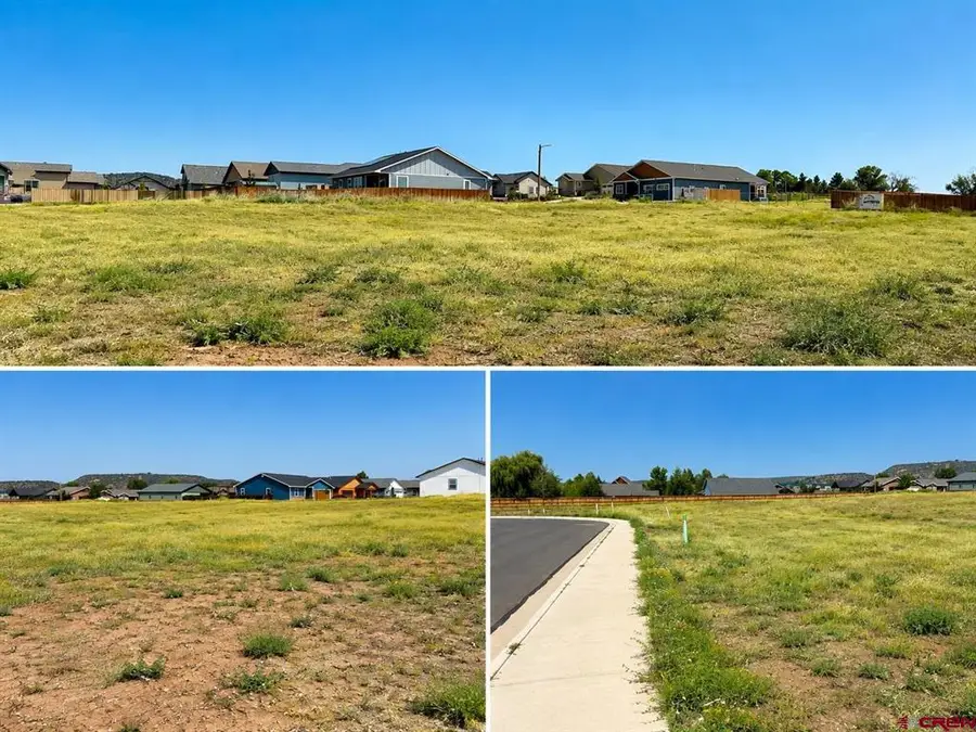 115 Wild Horse Drive, Bayfield, CO 81122 - #3