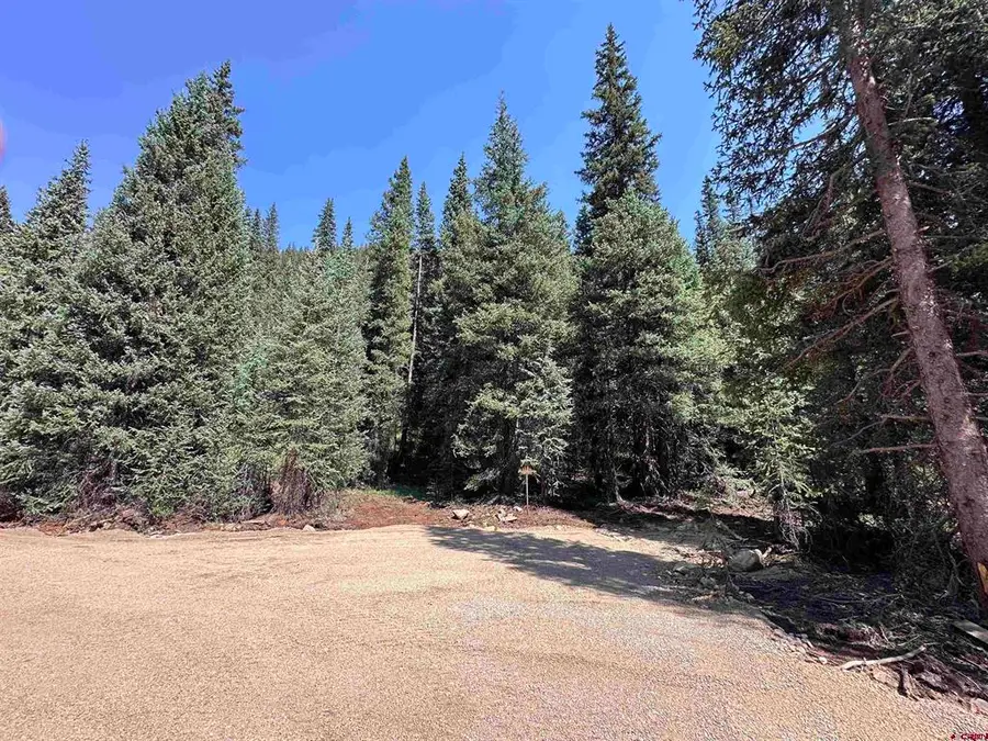 Lot 5 Overland Estates, Cr 110, Silverton, CO 81433 - #2