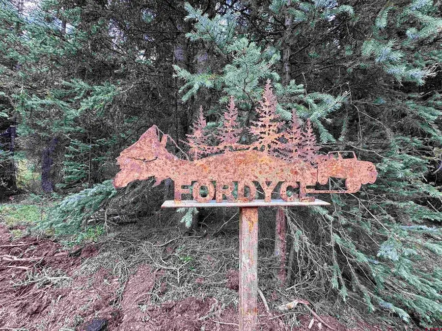 Lot 5 Overland Estates, Cr 110, Silverton, CO 81433 - #3