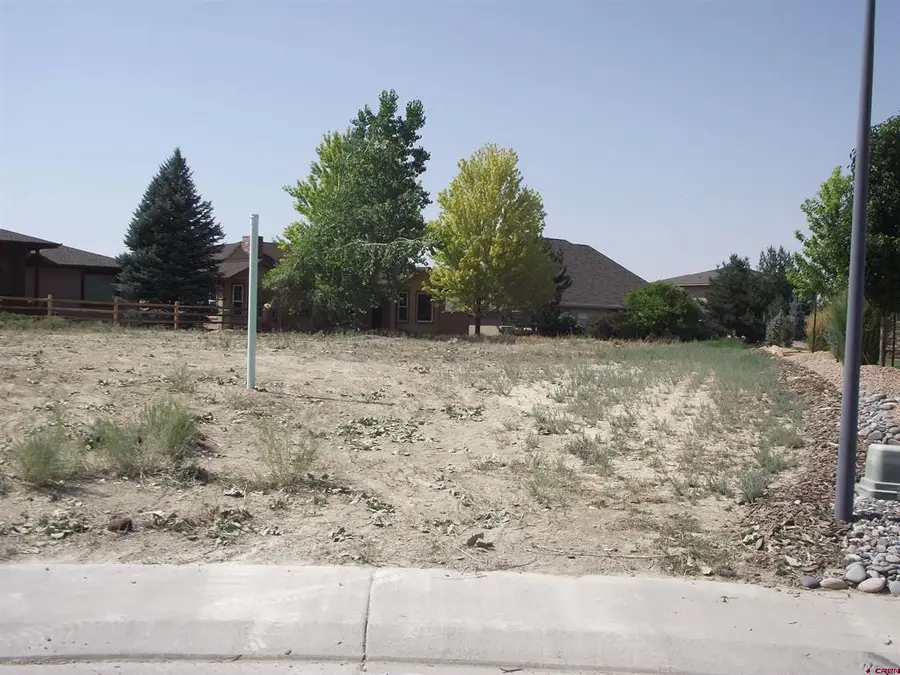 Lot A38 Mocha Court, Montrose, CO 81401 - #3