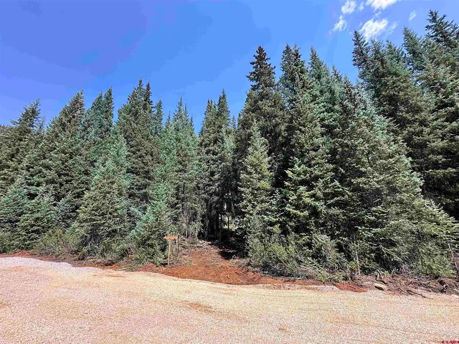 Lot 8 Overland Estates, Cr 110, Silverton, CO 81433 - #3