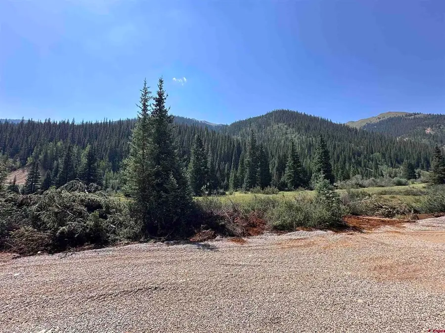 Lot 9 Overland Estates, Cr 110, Silverton, CO 81433 - #3