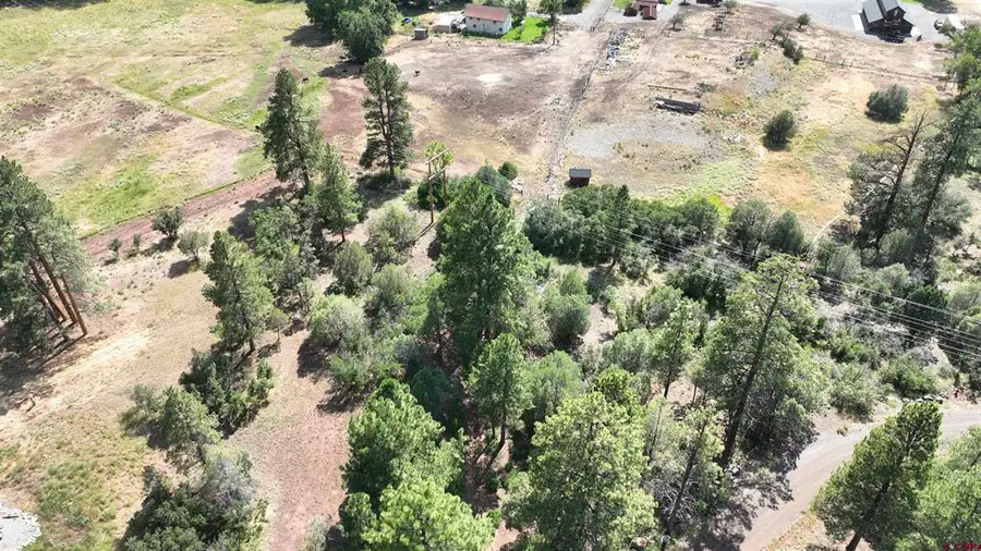 Lot 3 White House Vista Lane, Ridgway, CO 81432 - #2