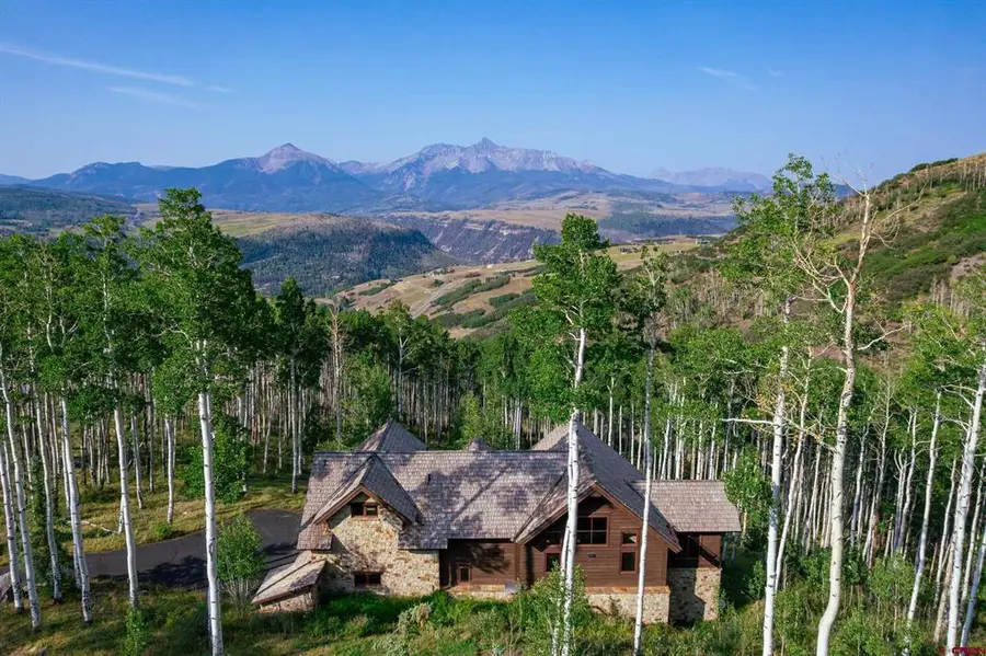 107 Joaquin Road, Telluride, CO 81435 - #2