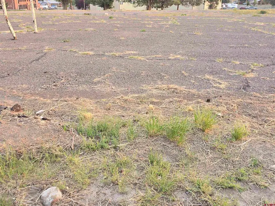 TBD 10th Street, Del Norte, CO 81132 - #3
