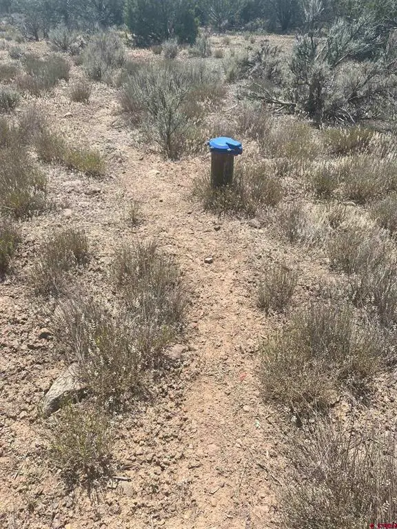TBD Uintah Road, Cedaredge, CO 81413