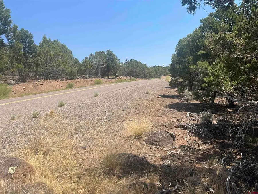 TBD Uintah Road, Cedaredge, CO 81413 - #3
