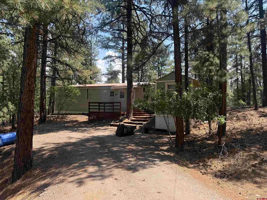 20 Bienvenido Circle, Pagosa Springs, CO 81147 - #2