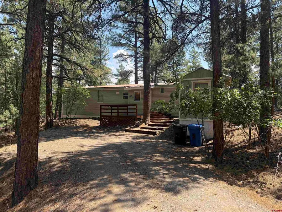 20 Bienvenido Circle, Pagosa Springs, CO 81147 - #3