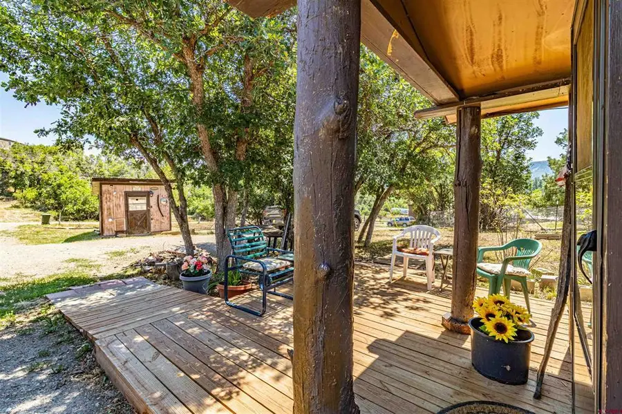 892 Cactus Drive, Pagosa Springs, CO 81147 - #3