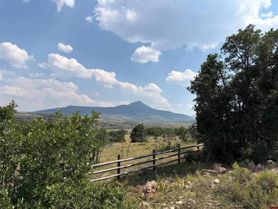 Lot G M44 Road, Placerville, CO 81430 - #2