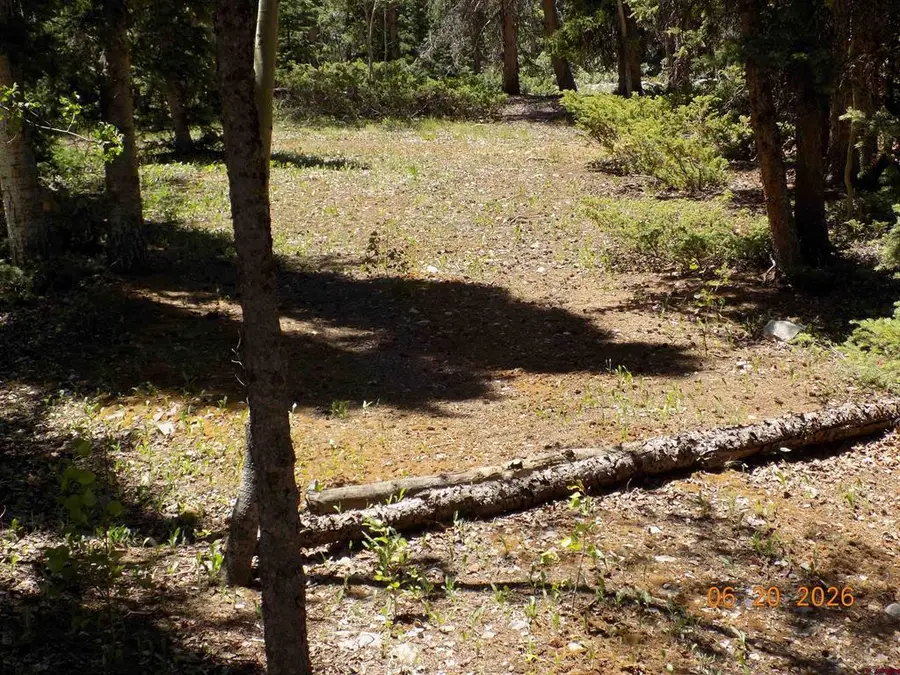 450 Fossil View Drive Drive, Pitkin, CO 81241 - #2