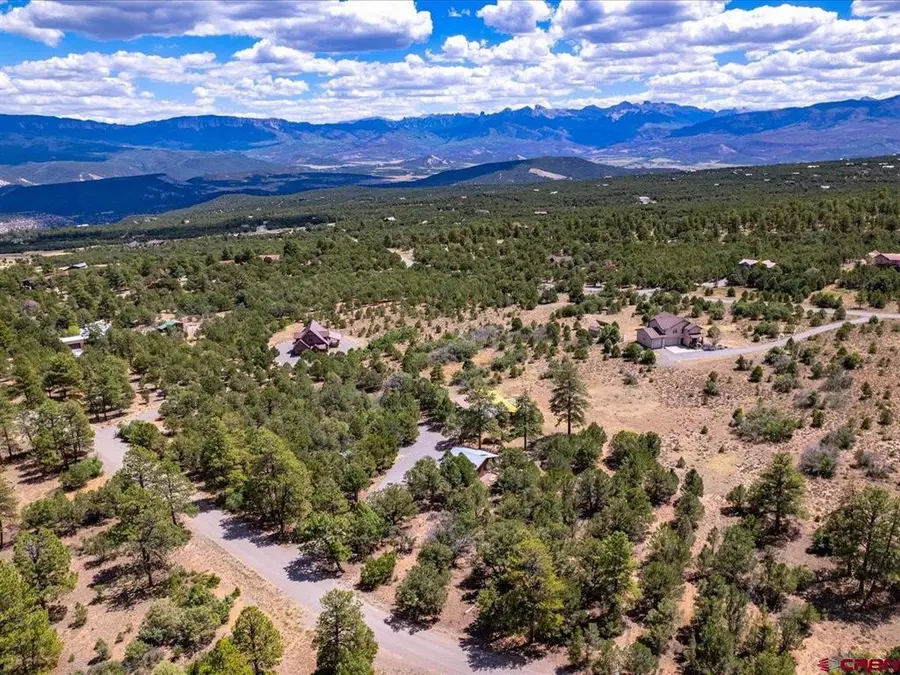 198 Meadow Ln, Ridgway, CO 81432 - #2