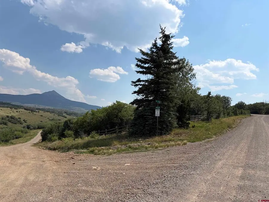 Lots G and H M44 Road, Placerville, CO 81430 - #3